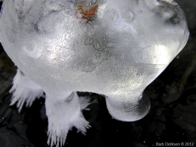 [Barb%2520Derksen%2520Ice%25202012%2520%2520%252823%2529%255B7%255D.jpg]