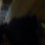 P1090678.JPG