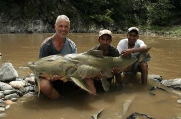 Monstruos De Rio Capitulos 2012