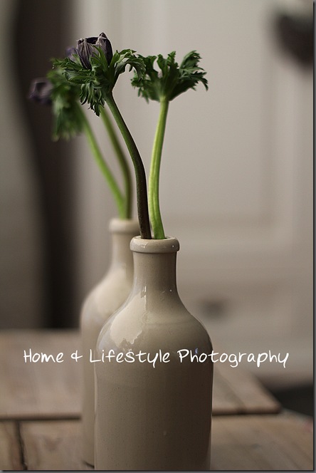 Home & Lifestyle Home & Lifestyle