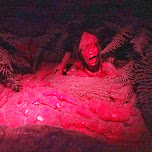 very creep displays at EDO Wonderland in Nikko, Japan 