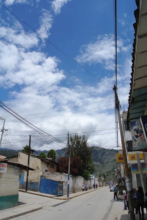 [DSC_60244.jpg]