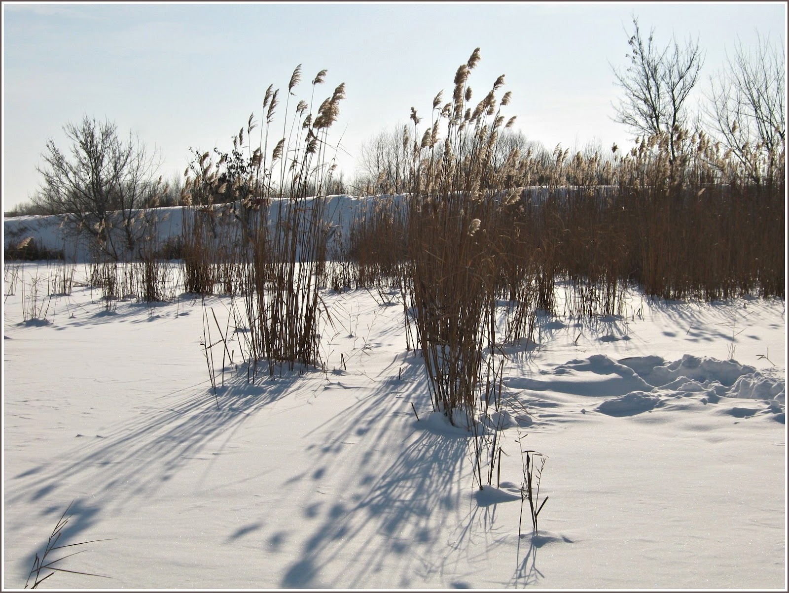 [IMG_0710%2521%255B6%255D.jpg]