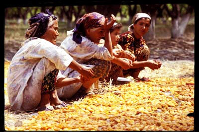 [world-bank-credit-photog-AIL0197UZB%255B6%255D.jpg]