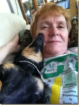 one napping one napping