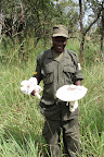 Park Ranger with local mushrooms