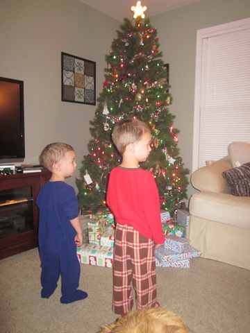 [December20112183.jpg]
