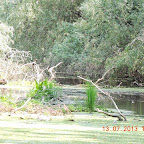 DSCN2946.JPG