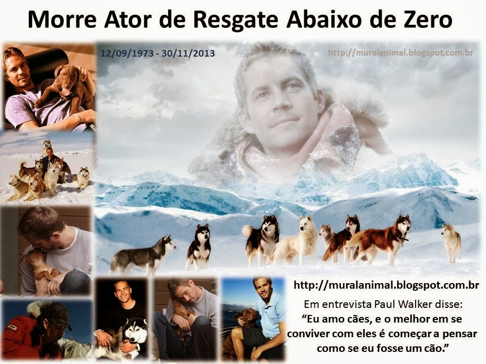 [Morre%2520Ator%2520de%2520Resgate%2520Abaixo%2520de%2520Zero%255B3%255D.jpg]