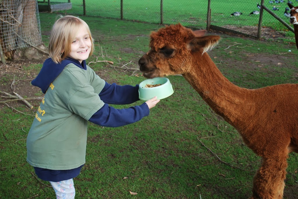 [DSC_0644%255B4%255D.jpg]