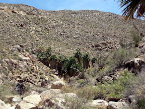 Approaching the Carrizo Palms. While there are numerous palm groves throughout Anza Borrego, I am going to guess this is one of the most remote due to the terrain.
