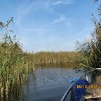 IMG_8031.JPG