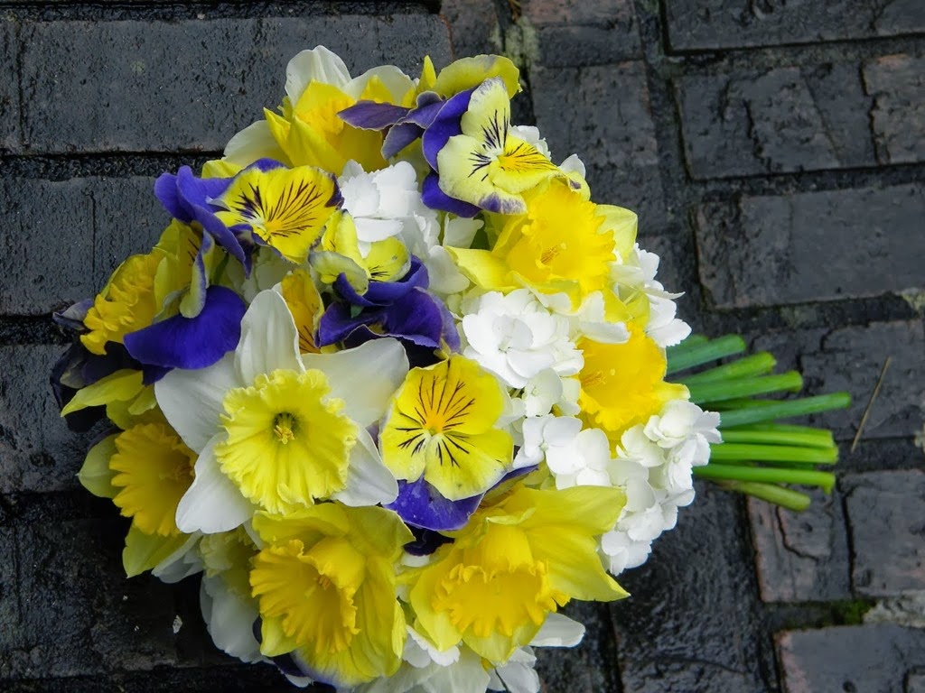[daffodil-springwell-gardens-Judy-and%255B2%255D.jpg]