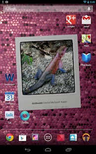 How to get WonderWall Live Wallpaper 1.0.1.3 apk for pc