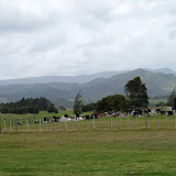 Trounson_Kauri_Park_Dargaville Trounson_Kauri_Park_Dargaville
