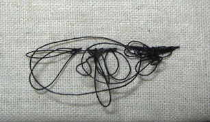 [stitches%255B5%255D.jpg]
