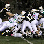 IMG_6905.jpg