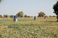DSC_0005.JPG