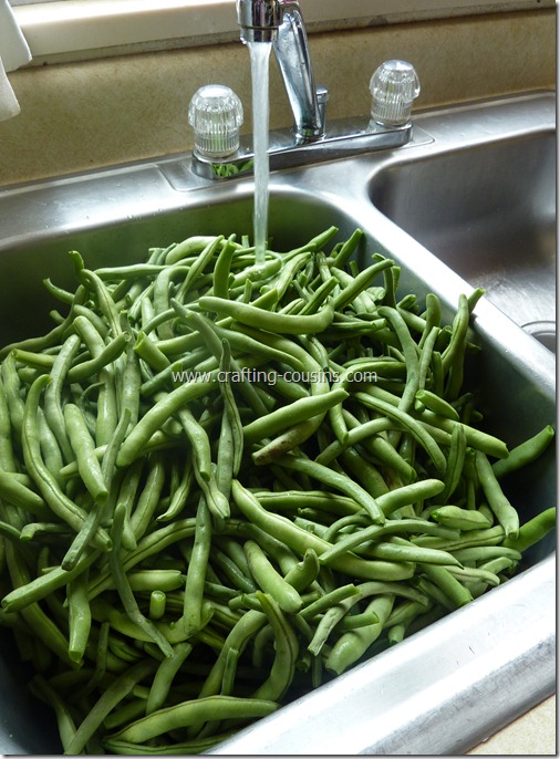 blanch and freeze green beans (4)