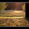2007-10-15 @17-35-28 parc de miribel 040_GF.jpg