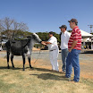 superleite2011_dia1607_18.JPG