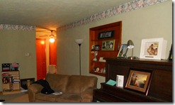 DSCN1768