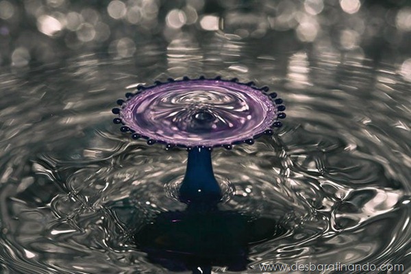 liquid-drop-art-gotas-caindo-foto-velocidade-hora-certa-desbaratinando (132)