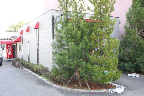 その横に小さな店舗が‥