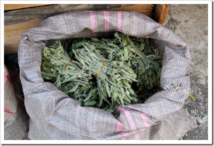 Praznik na kartofa Alagonia Messinia_Giorti tis patatas Alagonia Messinia_4412 Praznik na kartofa Alagonia Messinia_Giorti tis patatas Alagonia Messinia_4412