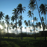 2007-08-21 kauai (quy's pics)