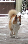 2012.02.05.13_30_14.JPG
