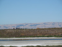 Out Of Juice Ride 015.JPG Photo