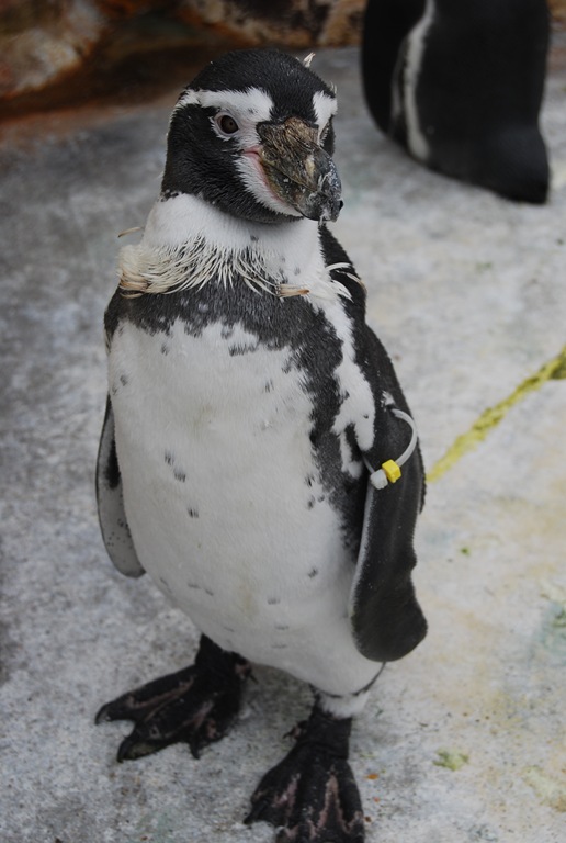 [DSC_0385%255B5%255D.jpg]