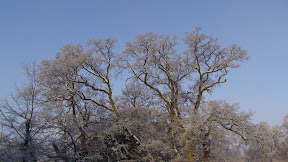  Title:  
 Size: 512 x 288 
 Click to view 