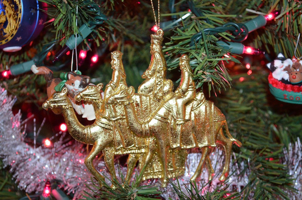 [DSC_0042%255B10%255D.jpg]