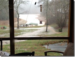 rainy backyard