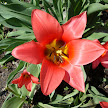 DSC00257.JPG