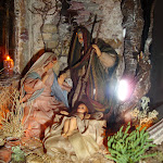 1531-5.JPG
