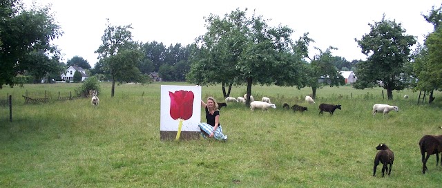 field4.jpg
