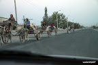 Horse-drawn carts