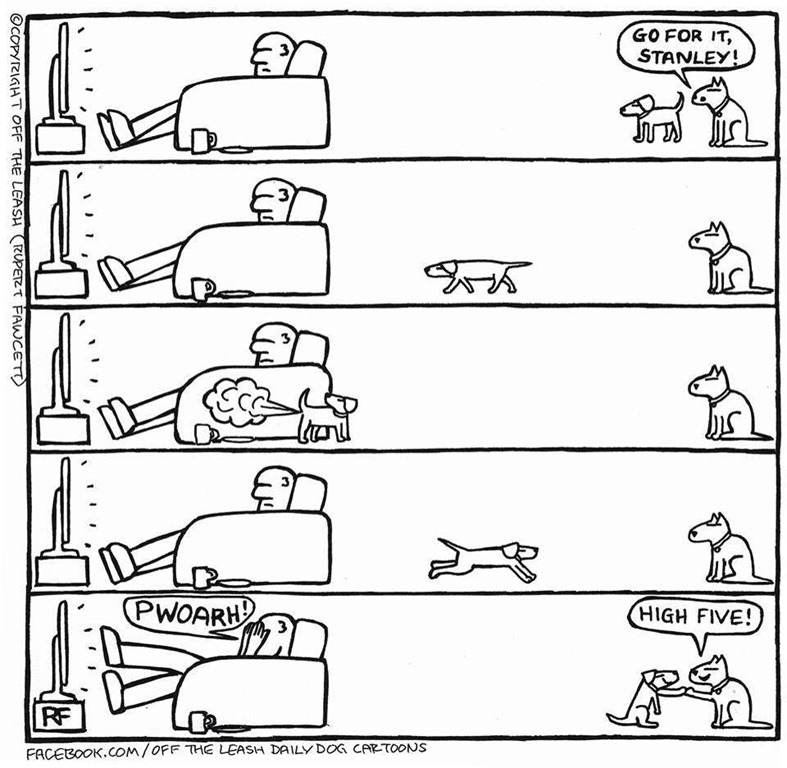 [Pupshunde%255B7%255D.jpg]