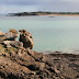Pointe des Grands Nez