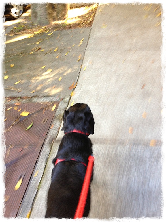 [Day%252013%2520-%2520Walking%255B5%255D.jpg]