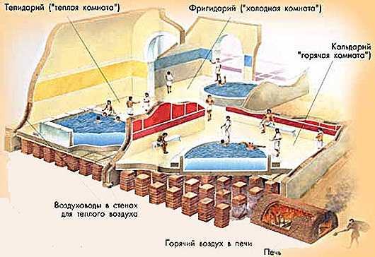 rim-terma