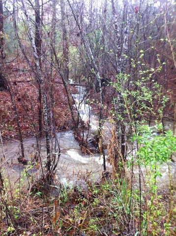 [Waterfall%255B2%255D.jpg]