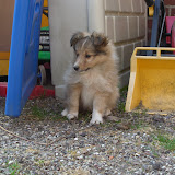 Påsken 2011