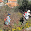 percurso Soalh_es 039.JPG