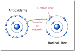 acido urico antioxidante acido urico antioxidante