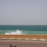 IMG_5066.JPG