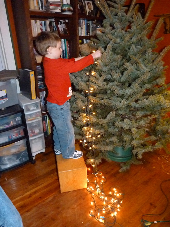 [2011-12-19-decorating-tree-0023.jpg]